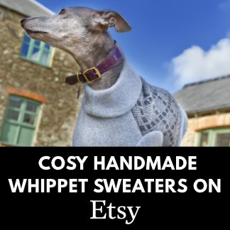 Whippet Sweaters on Etsy