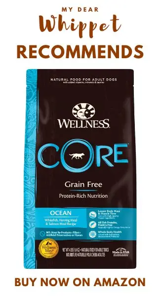 Wellness CORE Ocean Dog Food Dry Grain Free - Salmon & Tuna